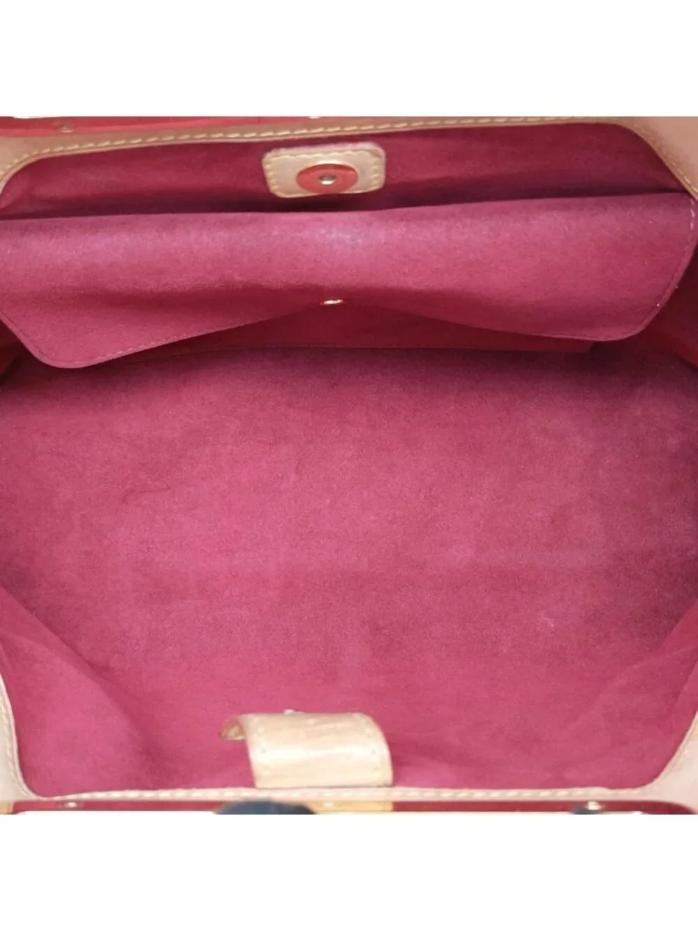 Louis Vuitton brand louis